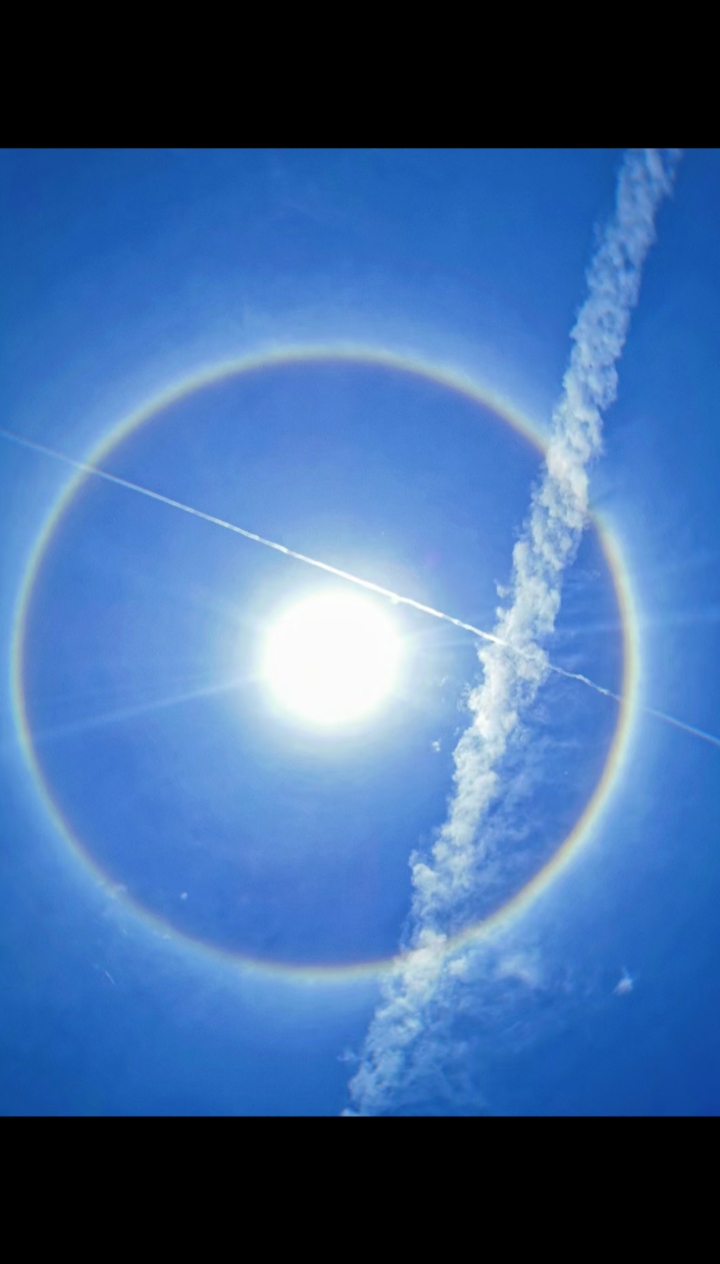 太阳当头照,花儿对我笑#今天的太阳格外美,希望带给你们好心情