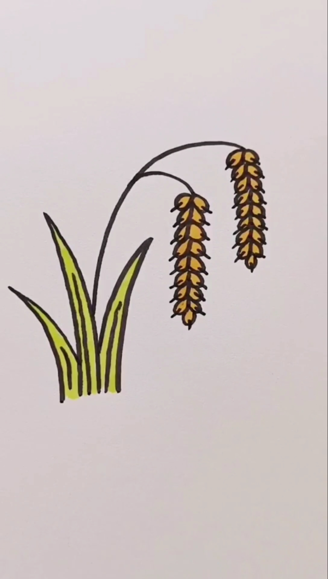 袁隆平李点点简笔画一定要告诉孩子他的水稻研究帮助养活了全世界