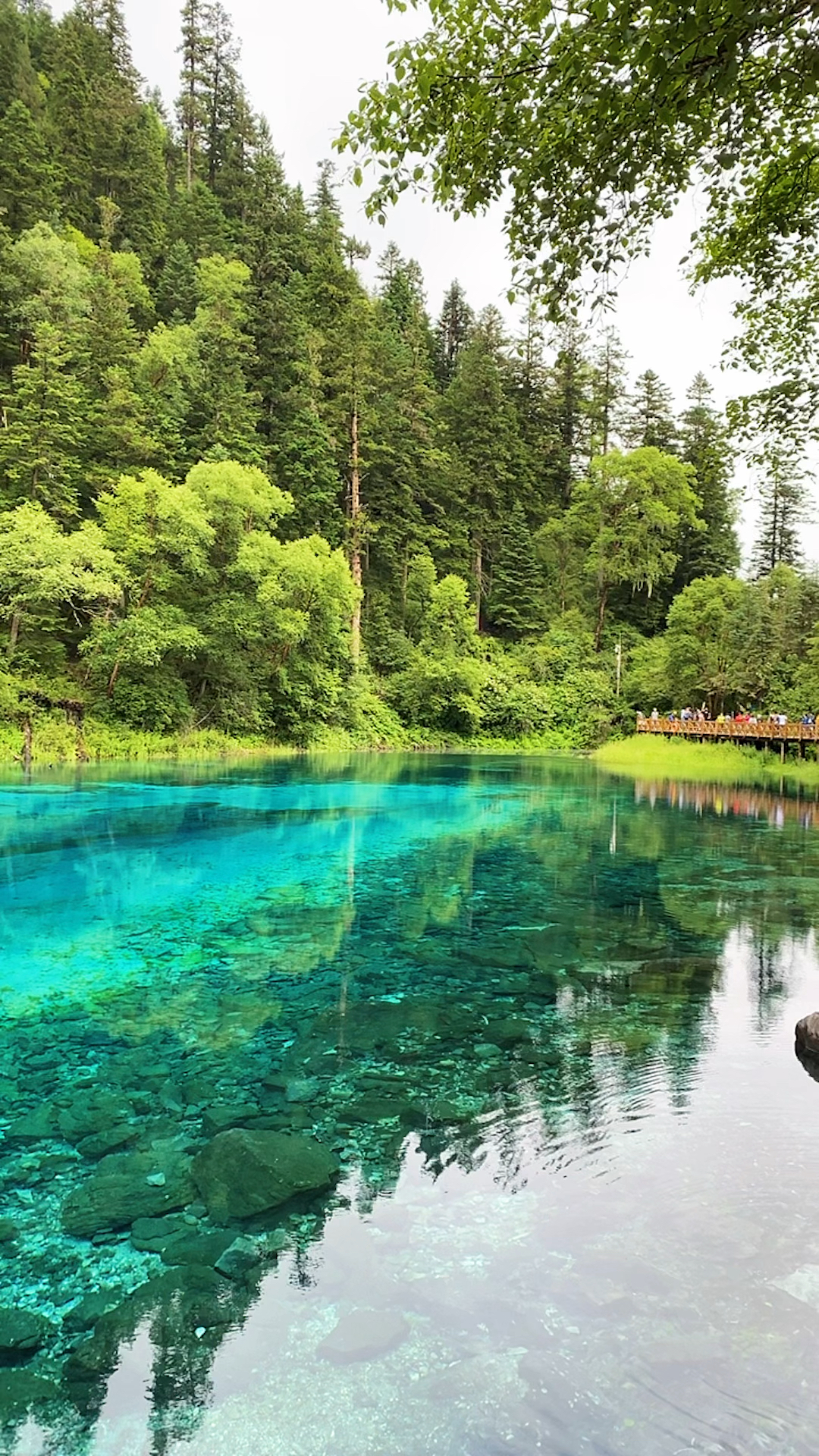 九寨沟的五彩池,清澈见底,五彩斑斓,看一眼就想把它带走.