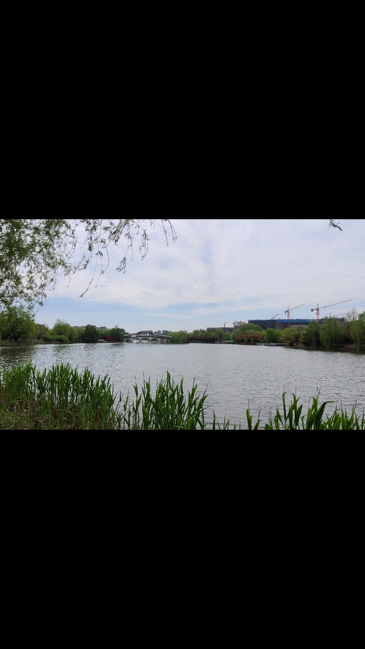 曲阜蓼河公园,景很美,水好臭