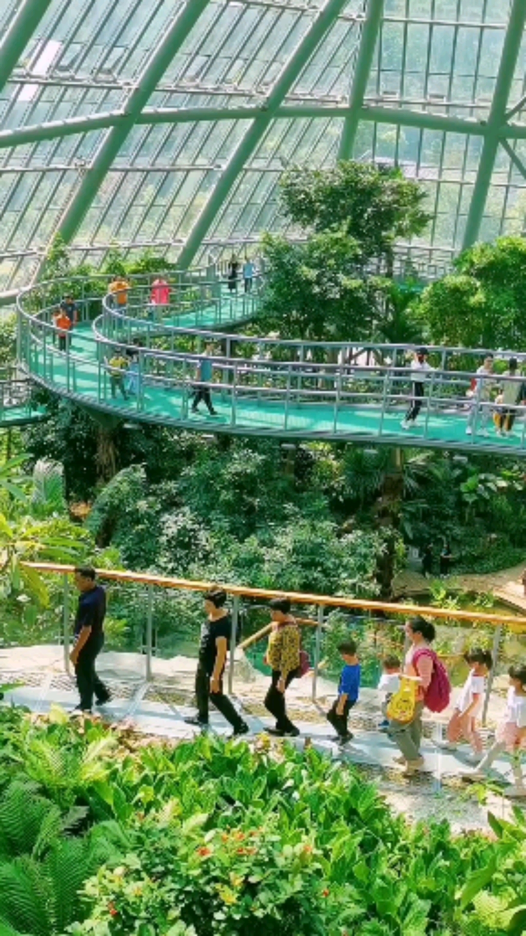 惠州9小时#惠州一个休闲的地方,科普圣地,带娃的好去处,温室到处是