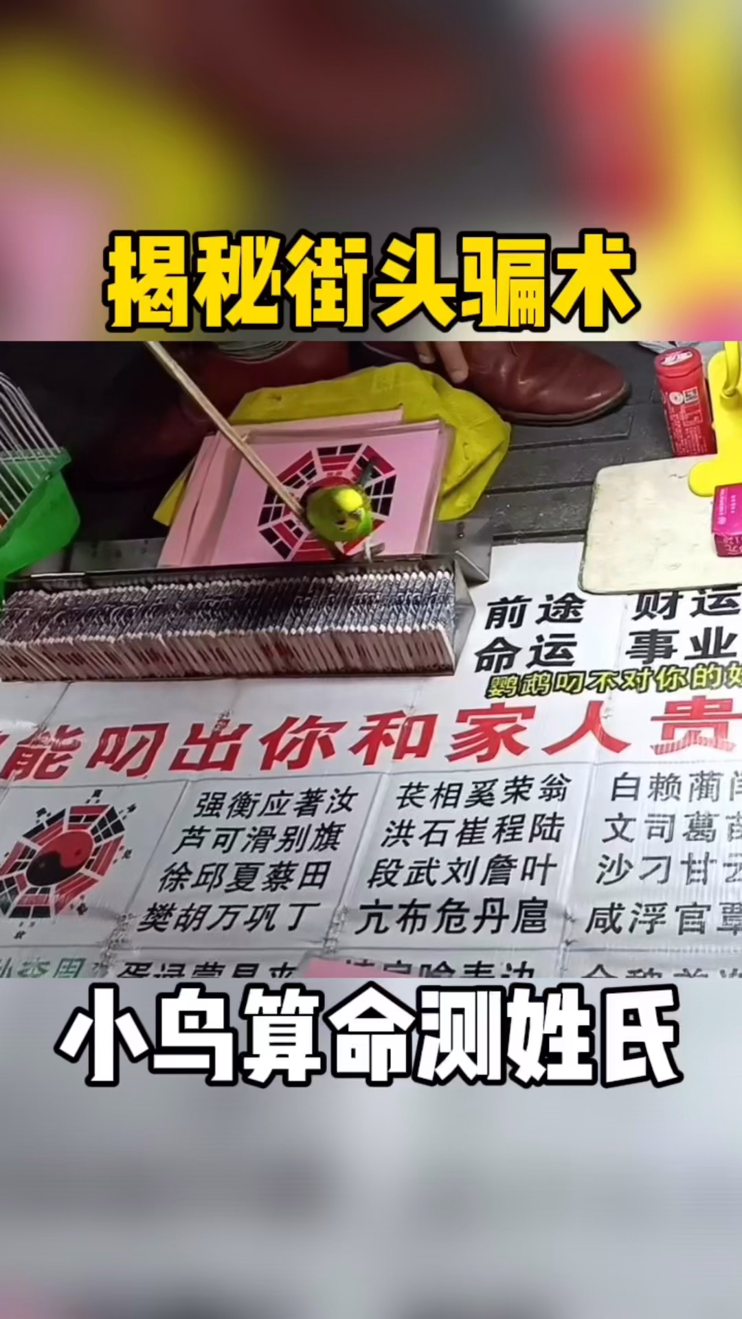 揭秘街头骗术小鸟算姓氏,千万别再上当受骗!