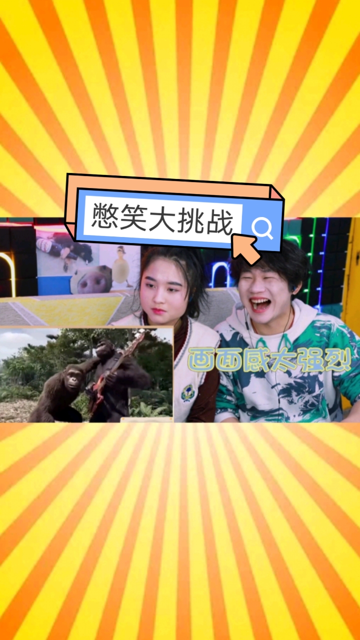 憋笑挑战#憋笑大挑战:黑猩猩也玩摇滚乐?很抱歉我忍不住笑了!-度惺佑