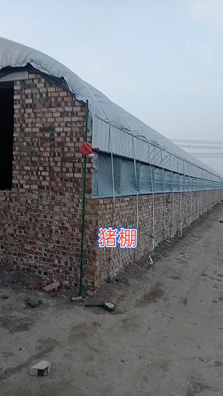 養殖大棚__李海俠#新型豬棚,建棚的留個關注