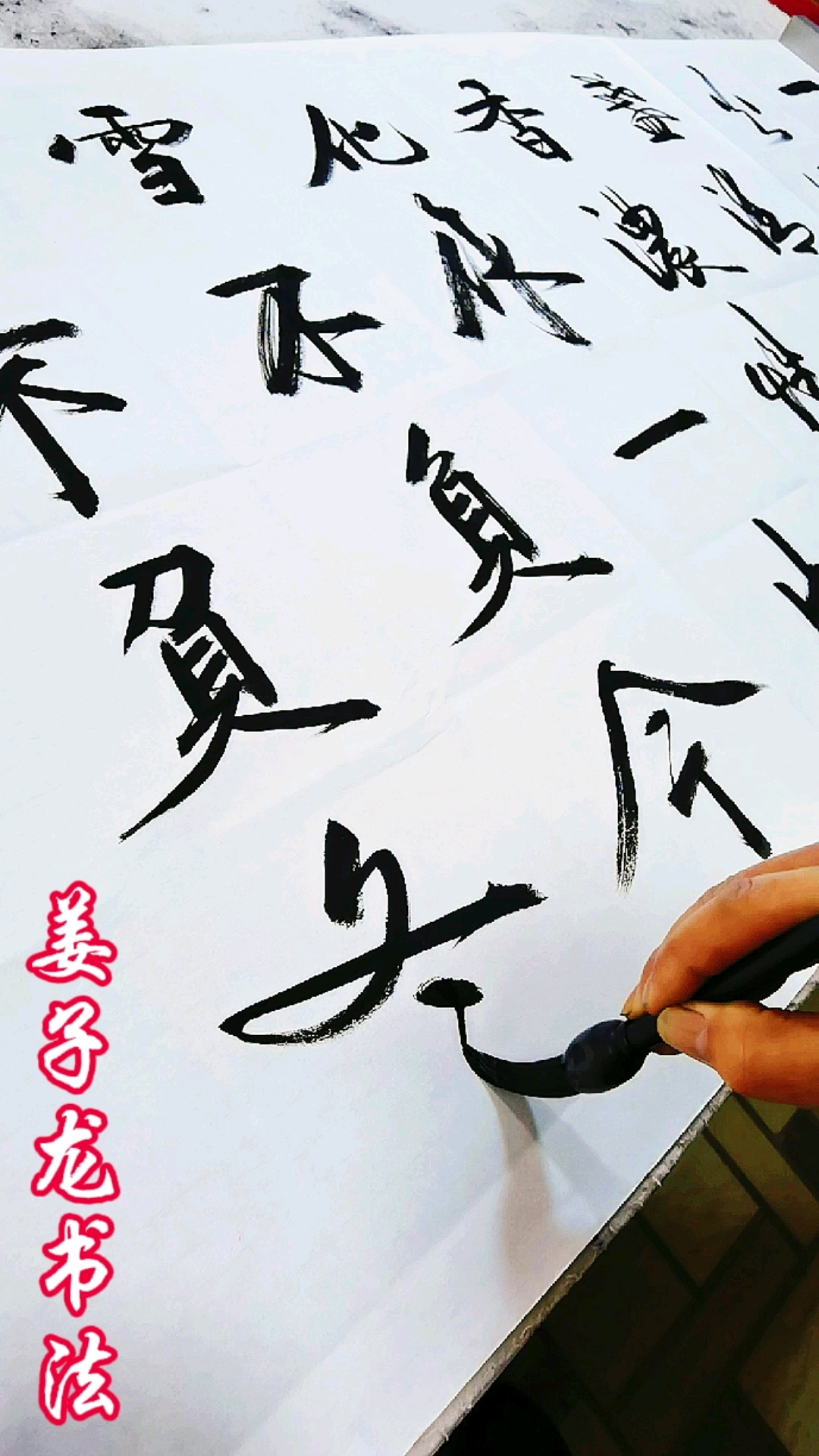 姜子龙书法不负今生不负冬