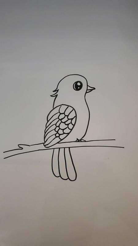 美丽的鸟儿简笔画图片