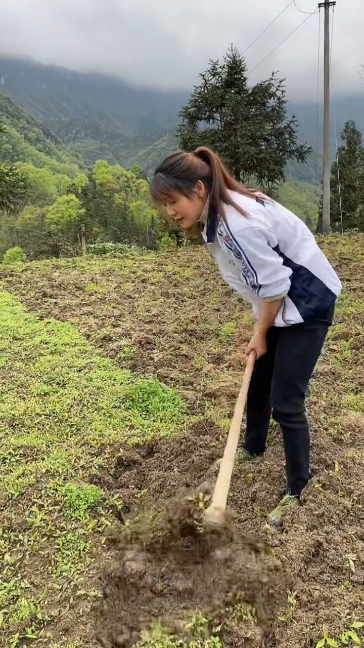 农村姑娘在挖土,好大的一把锄头