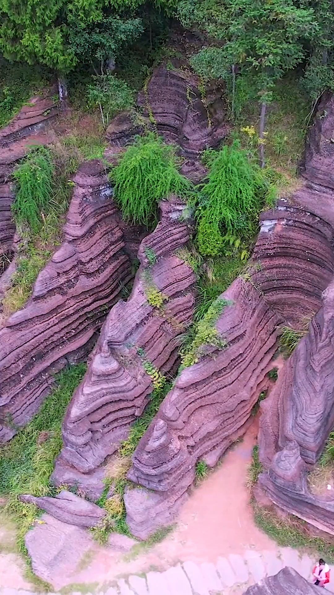 湘西发现上亿年前形成的天然红石林.