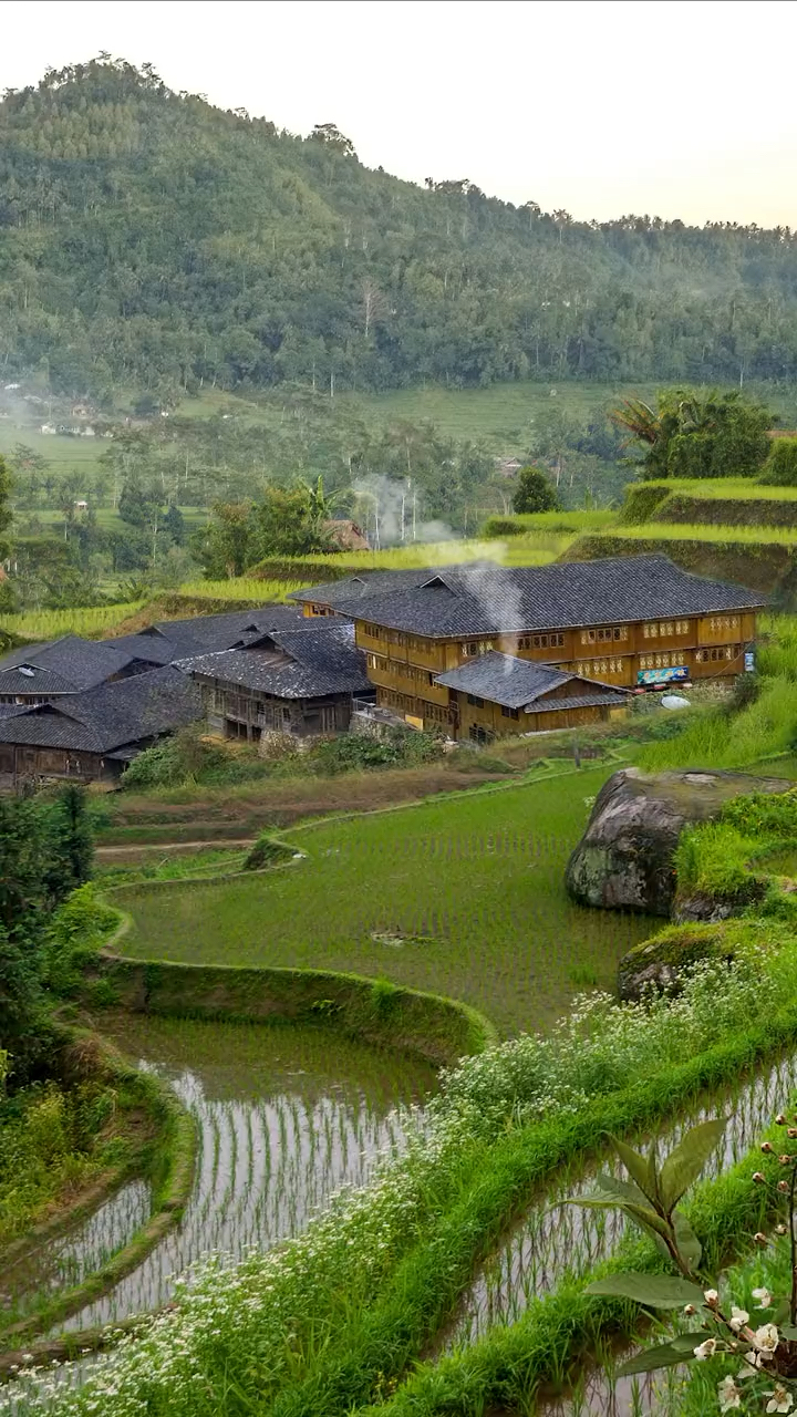 乡愁故乡是梦初始的地方那里有我们儿时的印记它平凡而美丽长大后它成