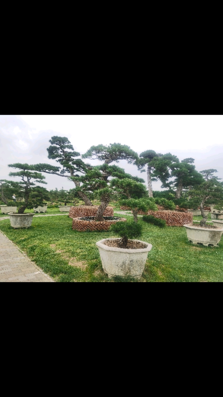 杜陵遗址生态公园公园