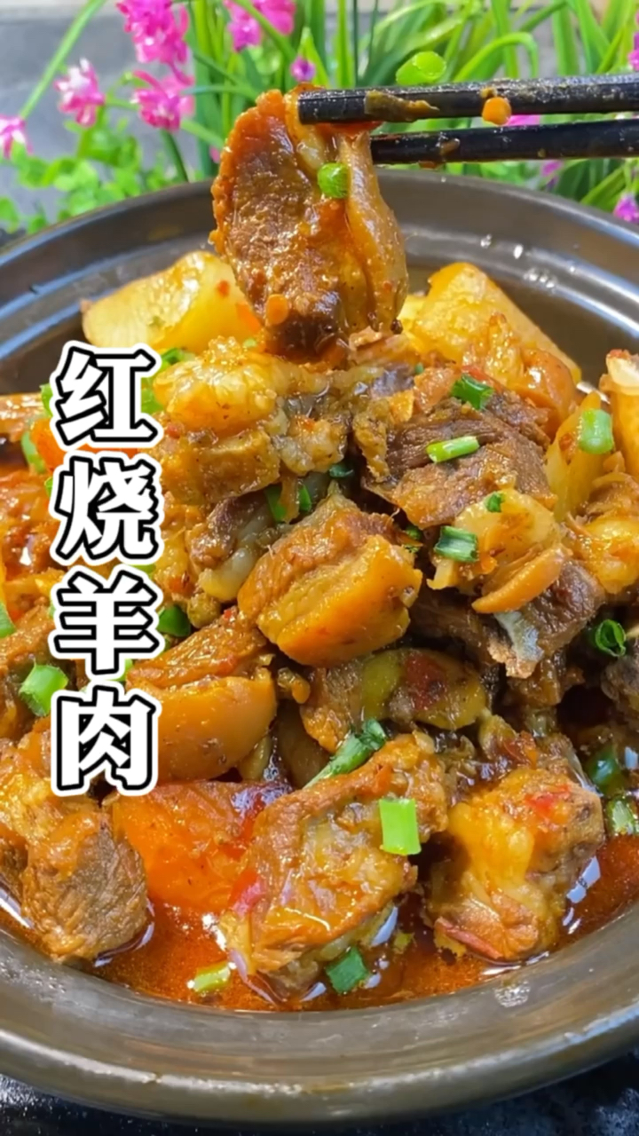 冬季进补计划#红烧羊肉的做法最正宗的做法,教你一招,羊肉不膻不腻
