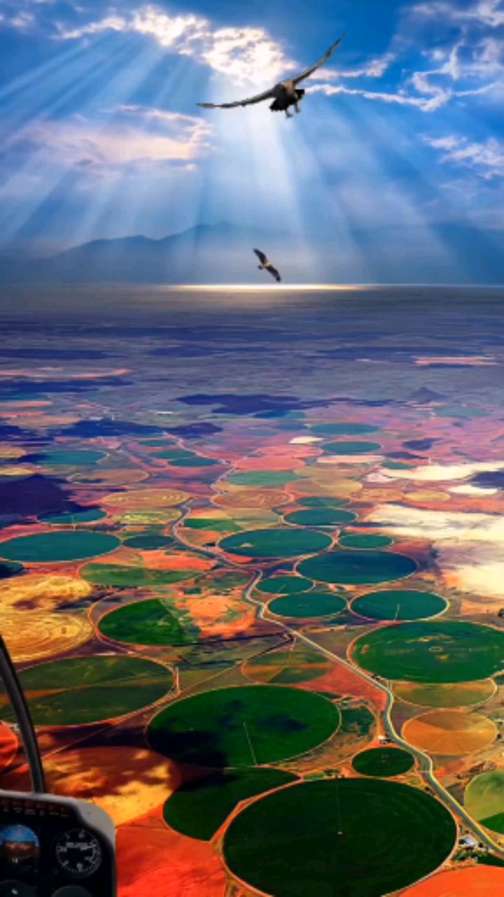 南非奥兰治自有邦#我时常在想是什么样的人喜欢看我的作品,我想都是