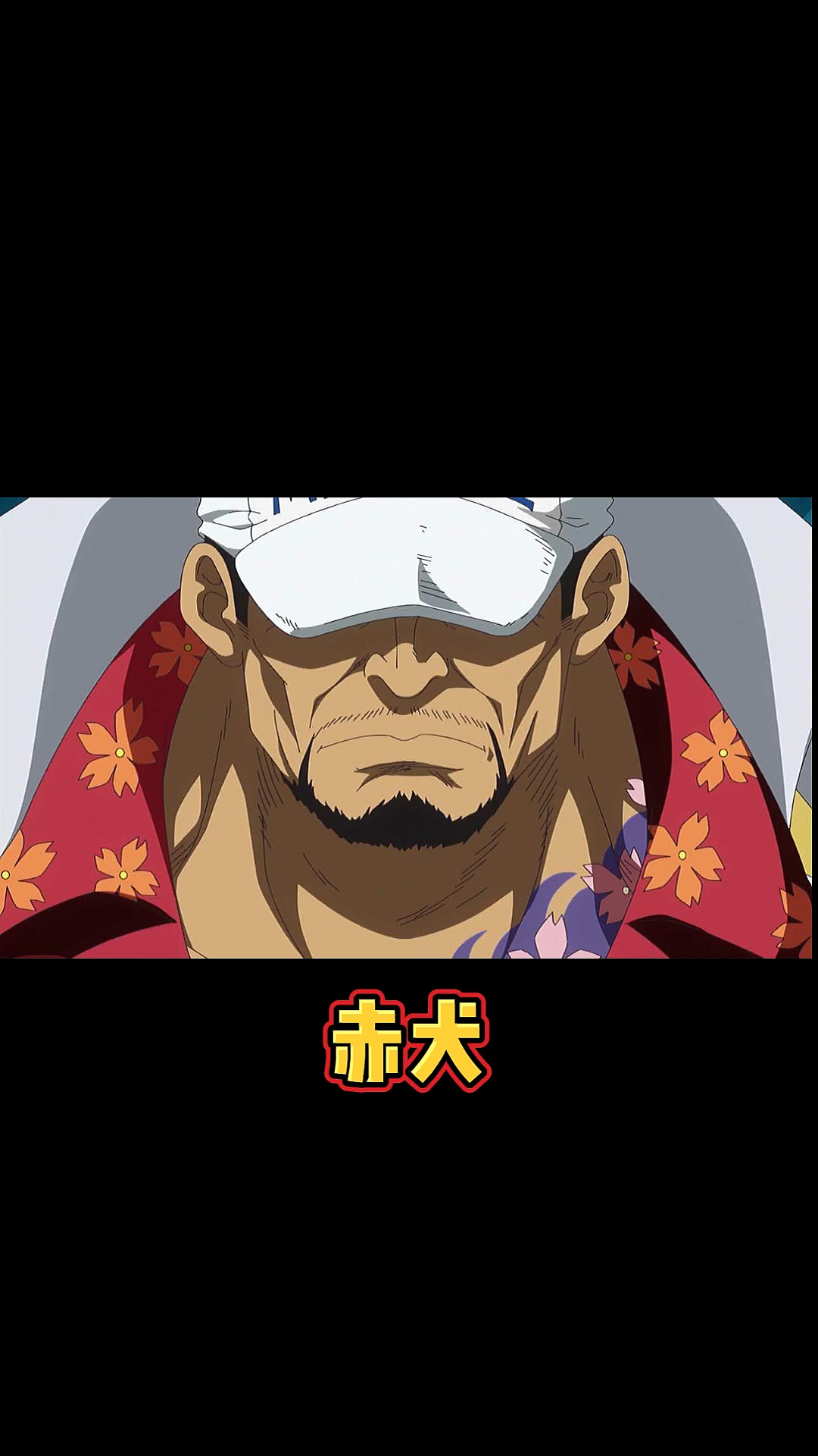 海贼王#"你们都出去了,那么谁来守护这里!"—赤犬-度小视