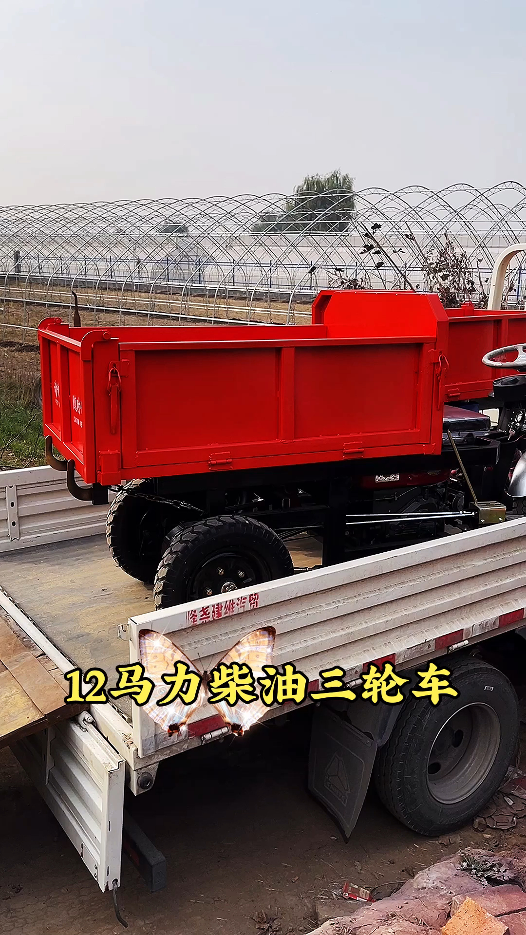 盛秋柴油自卸三轮车12马力柴油自卸三轮车