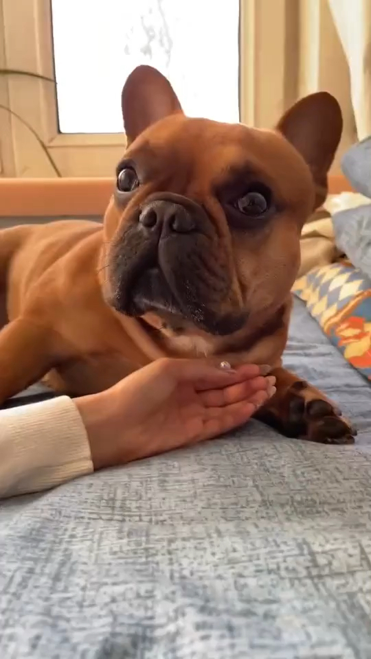 这种呆傻的孩子都一样目光呆滞