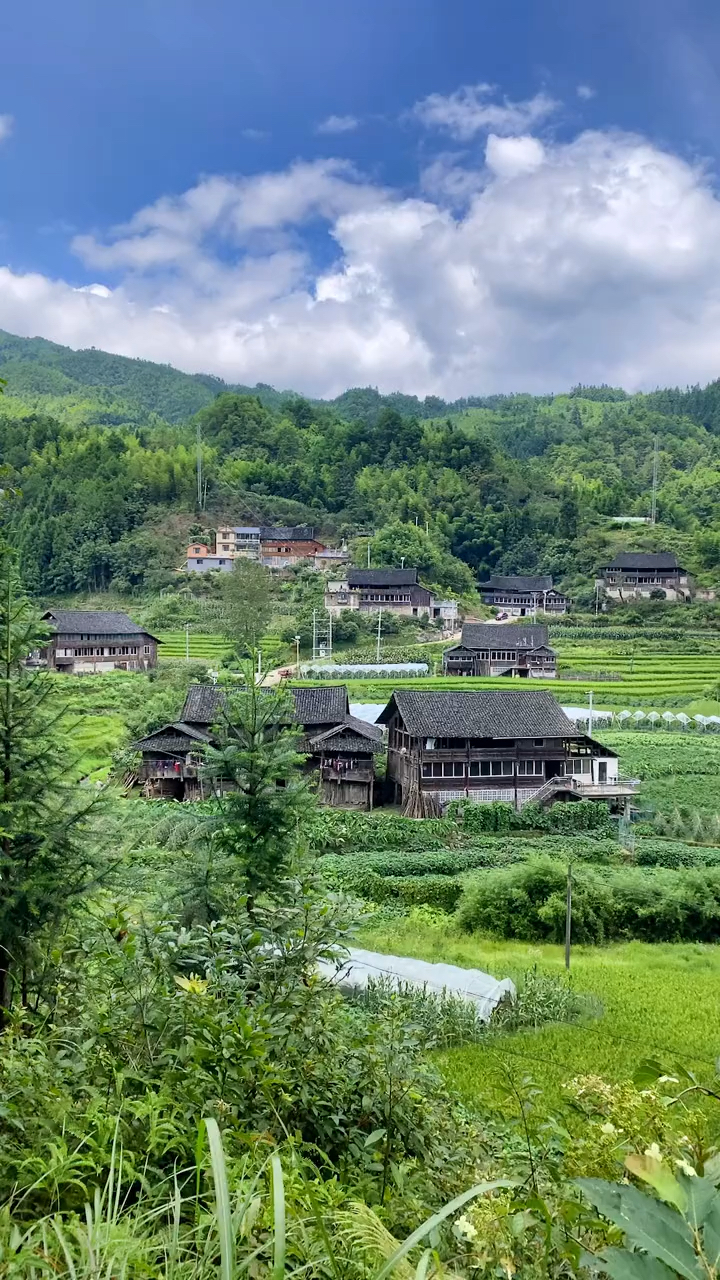 山清水秀的地方,真实的农村人的生活,愿富裕安康!