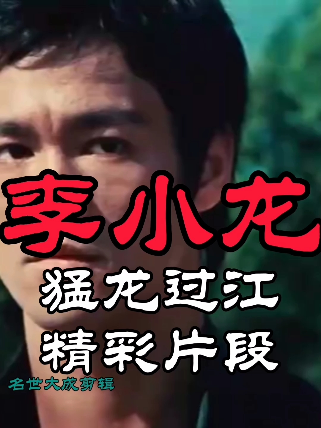 励志正能量李小龙电影猛龙过江精彩片段