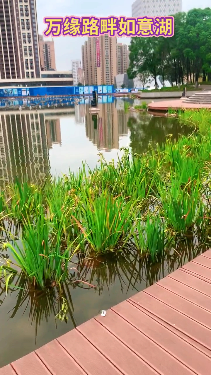 广元#广元市如意湖畔随手拍!
