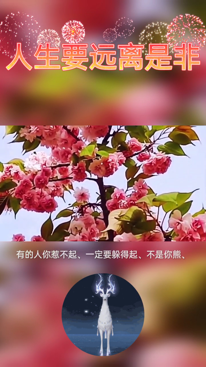 智慧人生#人生切记一定要远离是非