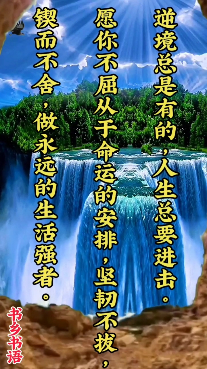 全民正能量#做永远的生活强者.