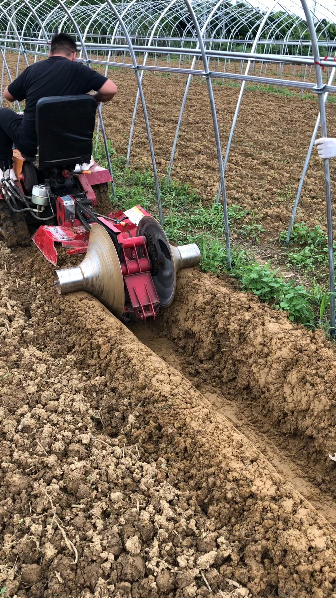 草莓开沟起垄机#贵州平坝草莓起垄机