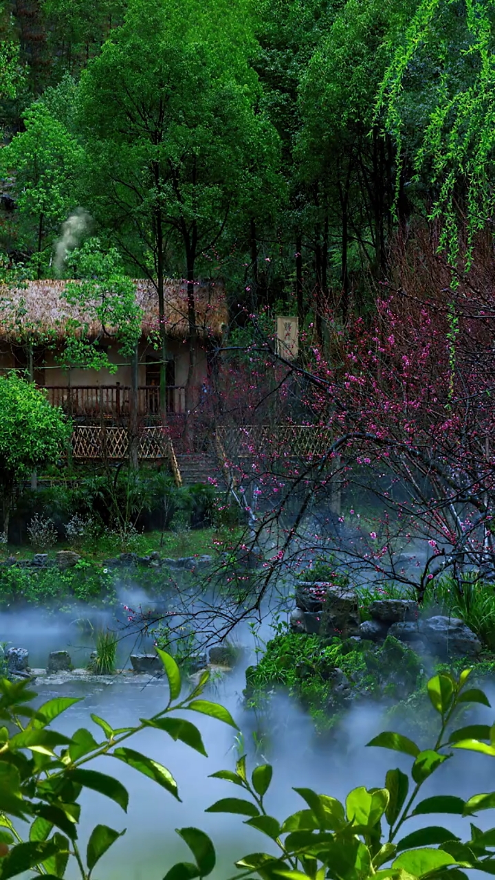 待我了无牵挂,从此归隐天涯,深山草屋为家,远离尘世繁华.