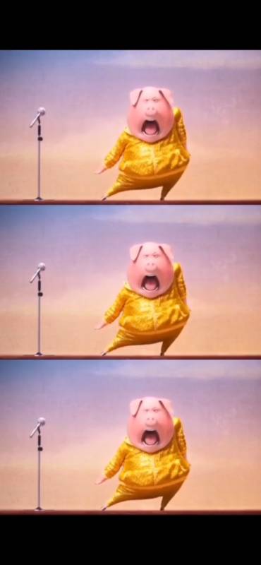 动画#欢乐好声音的这只猪真的绝了