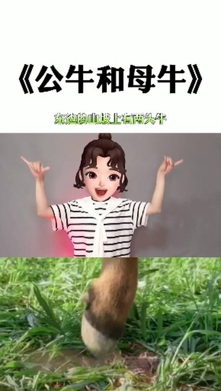 手势舞#东边的山坡上有两头牛