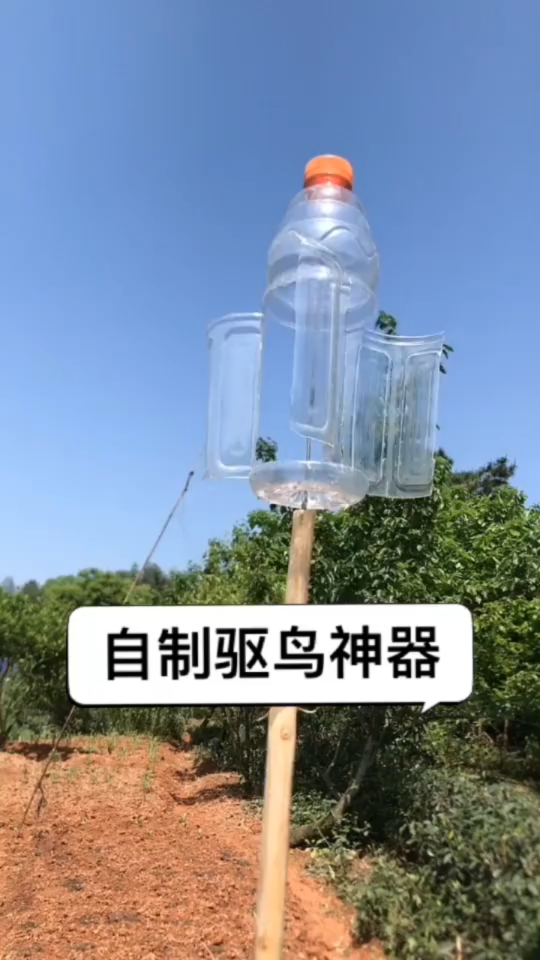 自制驱鸟神器只须一个可乐瓶,木棍,铁丝搞定,鸟儿再也不敢来盗食
