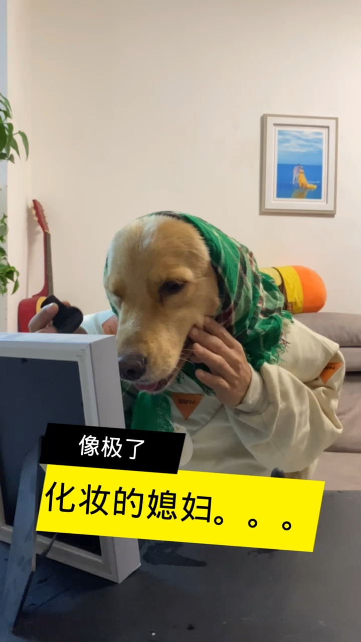 家有萌宠狗头人身的狗头先生来咯像谁