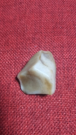 罗布泊地表蛋白原石