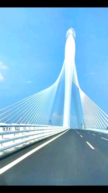 东莞:滨海湾大桥,设计很有立体感的地标建筑.-度小视