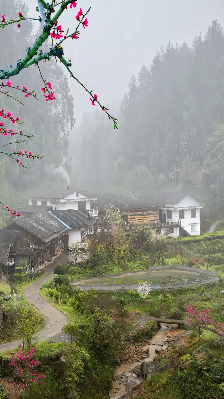 大自然美景#天青色等烟雨,而我在等你.炊烟袅袅升起,隔江千万里!
