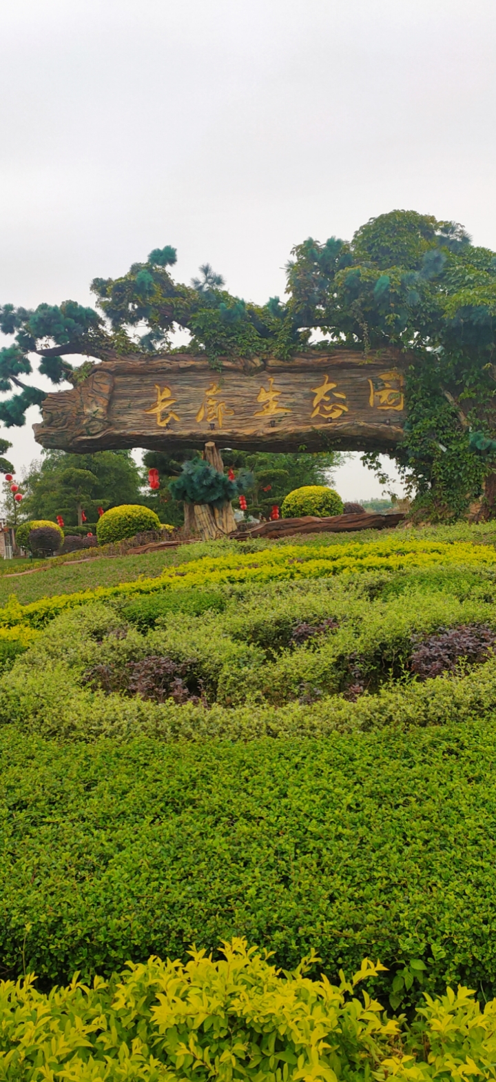 旅游进行时#江门长廊生态园