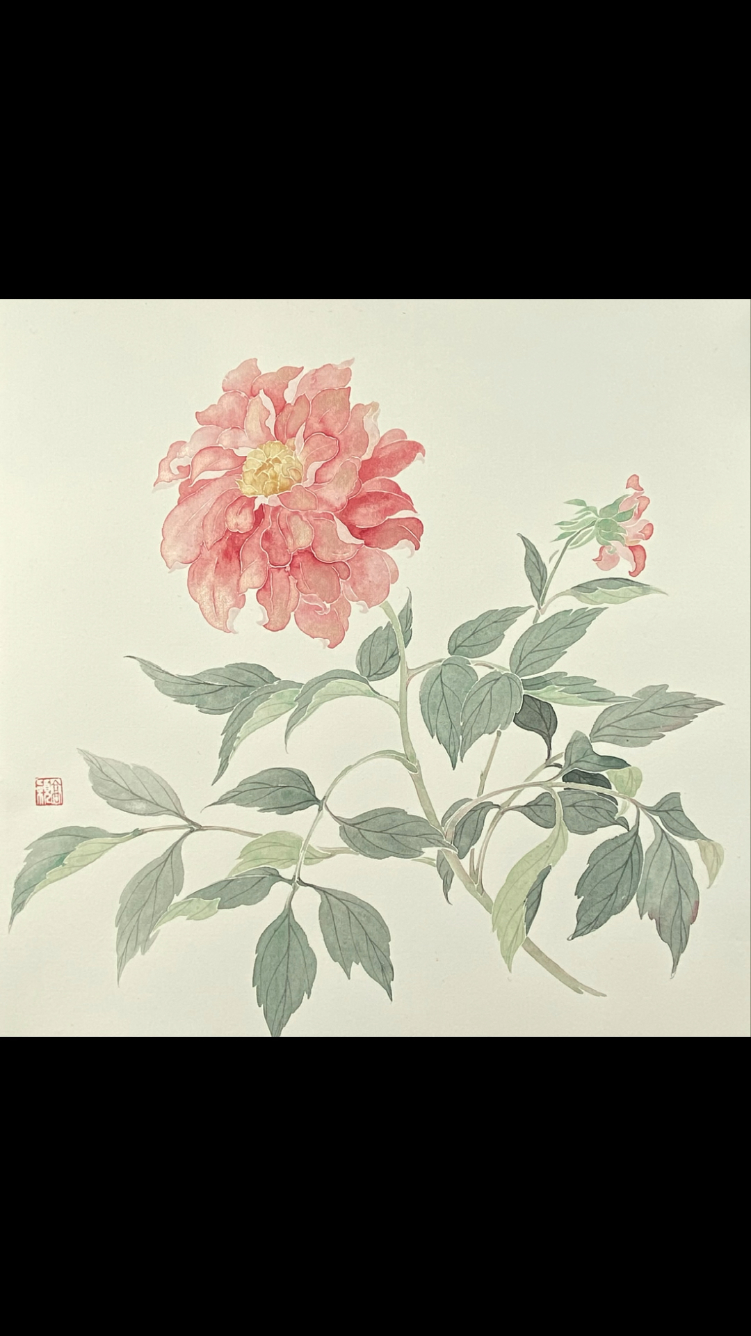 绘画中国画大丽花没骨画法