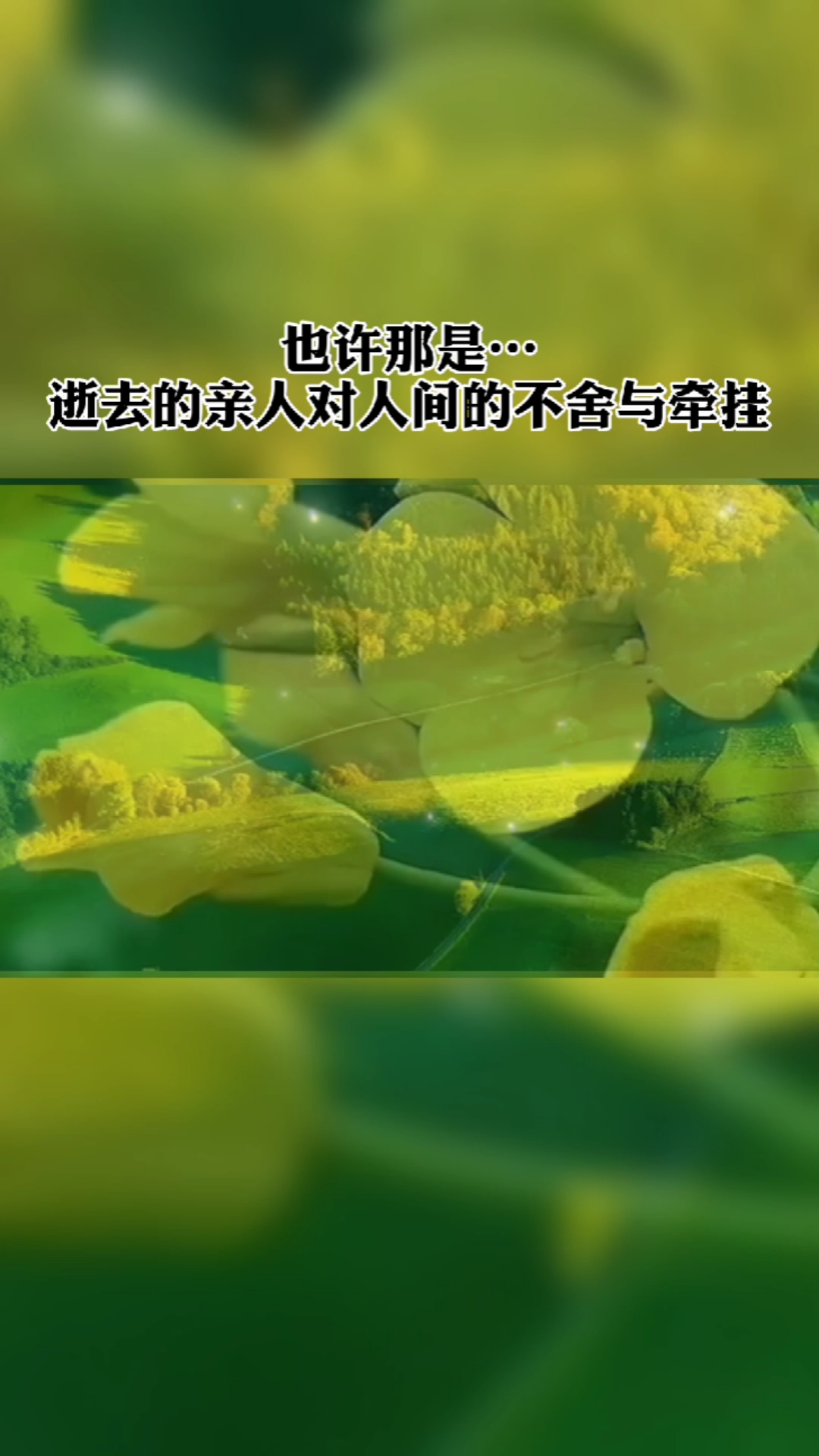 情感#清明时节雨纷飞,有人说那是思念亲人流下的眼泪!