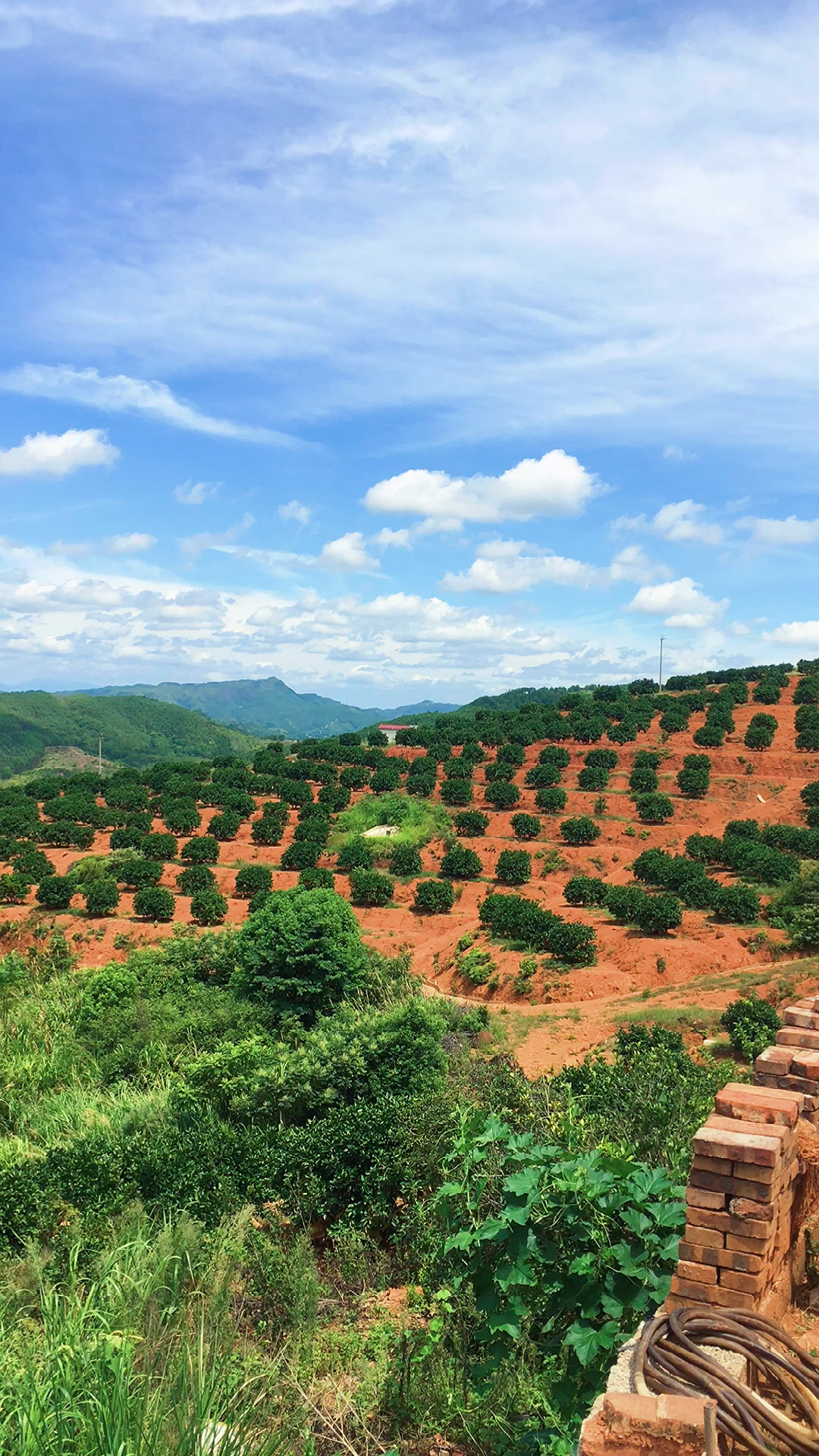 兴宁罗岗白鹤仙师山脚下,风景独好!
