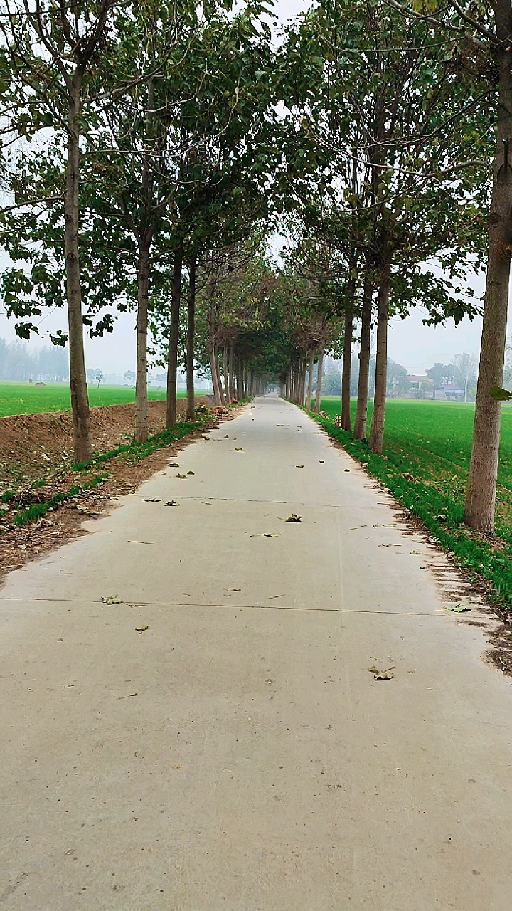乡间小路#走在乡间的小路,听着美妙的音乐,放松一下心情,解解压.