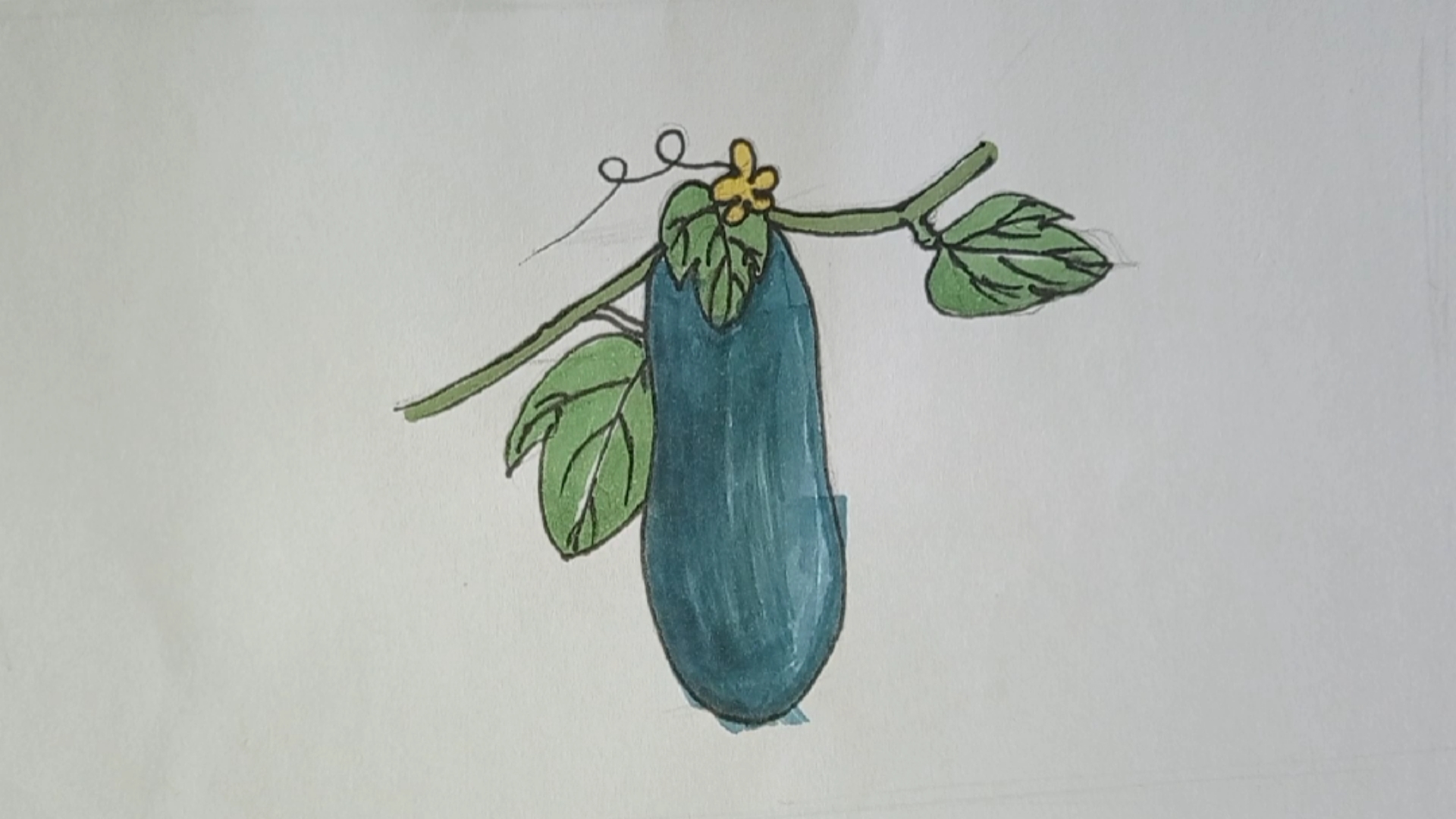 绘画#简笔画蔬菜冬瓜,清热解暑,减肥瘦身!