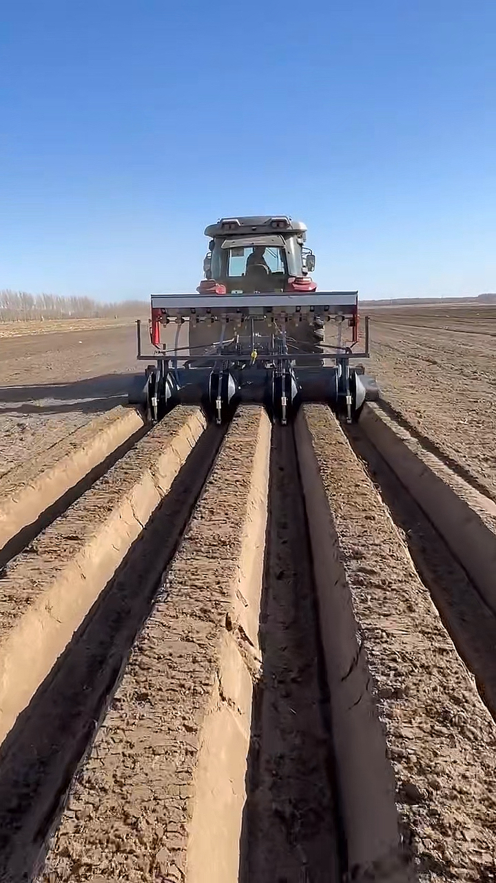 大葱开沟起垄机#内蒙通辽开鲁县四行大葱开沟起垄机作业中,一天开档