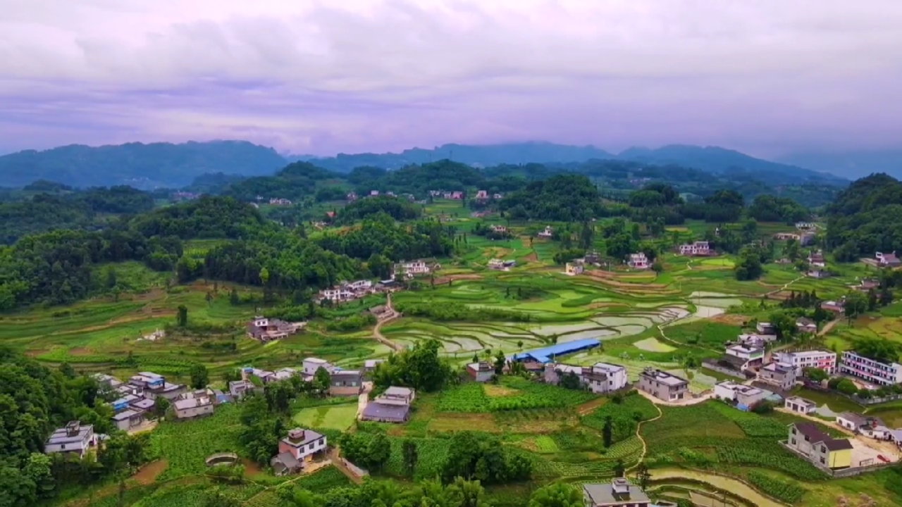 这是位于四川之南的一个小乡村景色宜人田里鳝鱼特别多