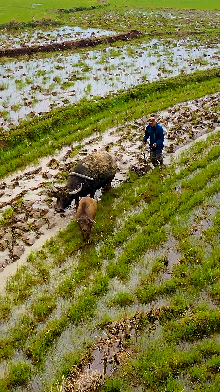 原生态乡村生活#看到这样的场景,你想到了什么?