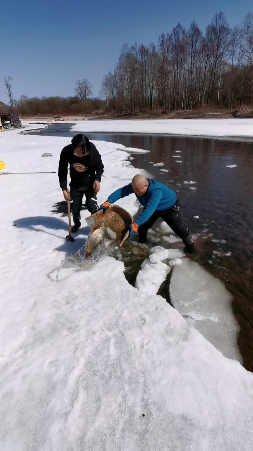 赶冰边捉上条大肥鱼.