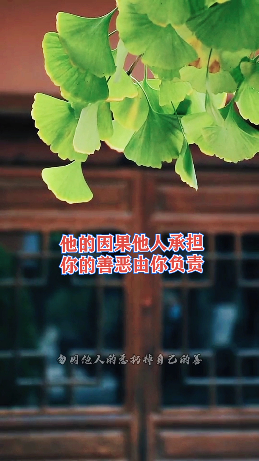 国学勿因他人的恶扔掉自己的善他人因果他自己承担你的善恶你需要负责