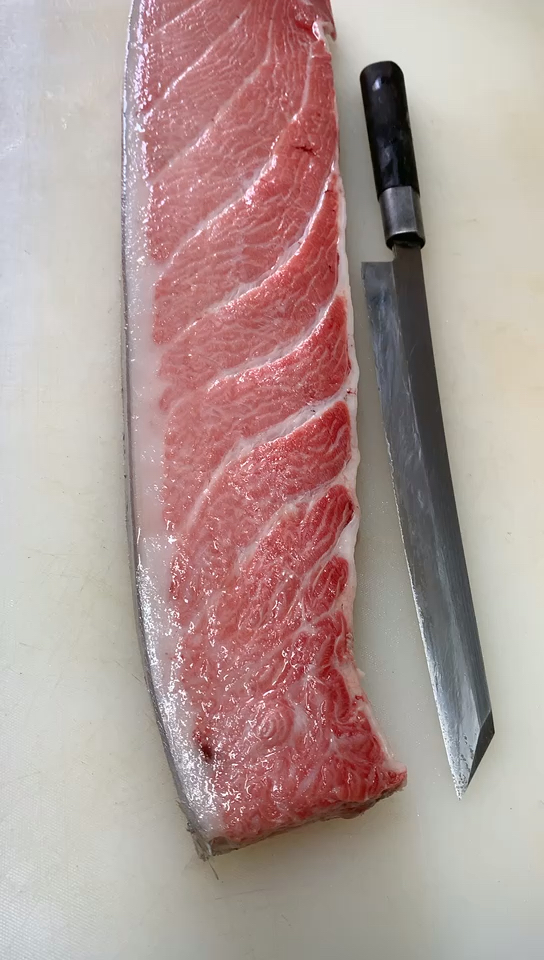 金枪鱼大腹#一百块一片的大腹,大家有喜欢吃这个大腹的吗?