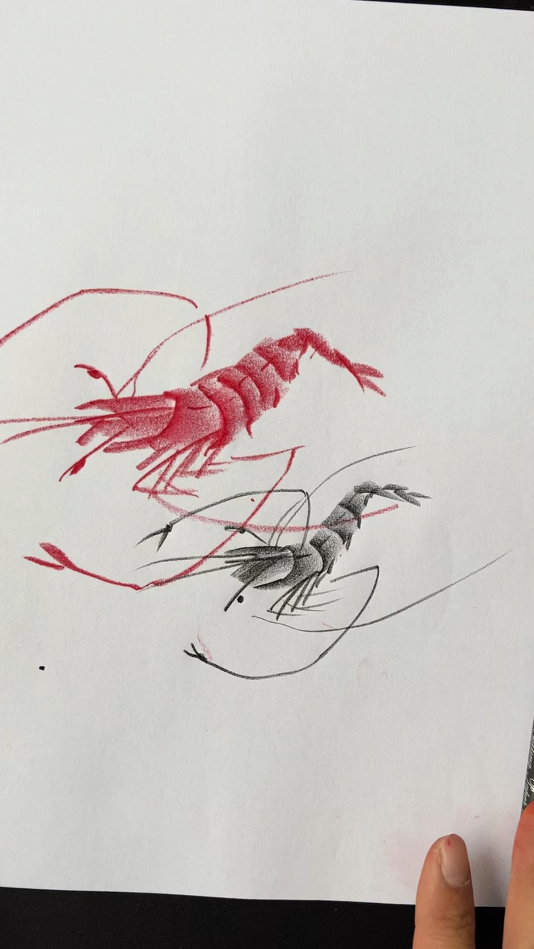 绘画教程#小龙虾的组合画法