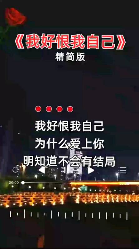 我好恨我自己为什么爱上你明知道不会有结局