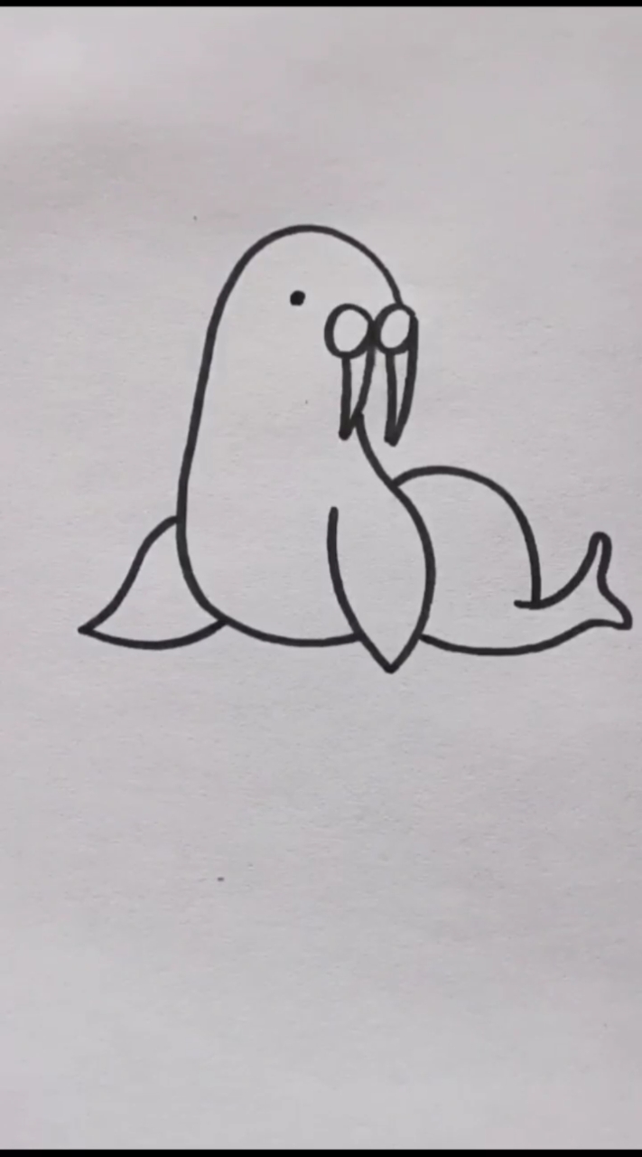 简笔画小海狮图片