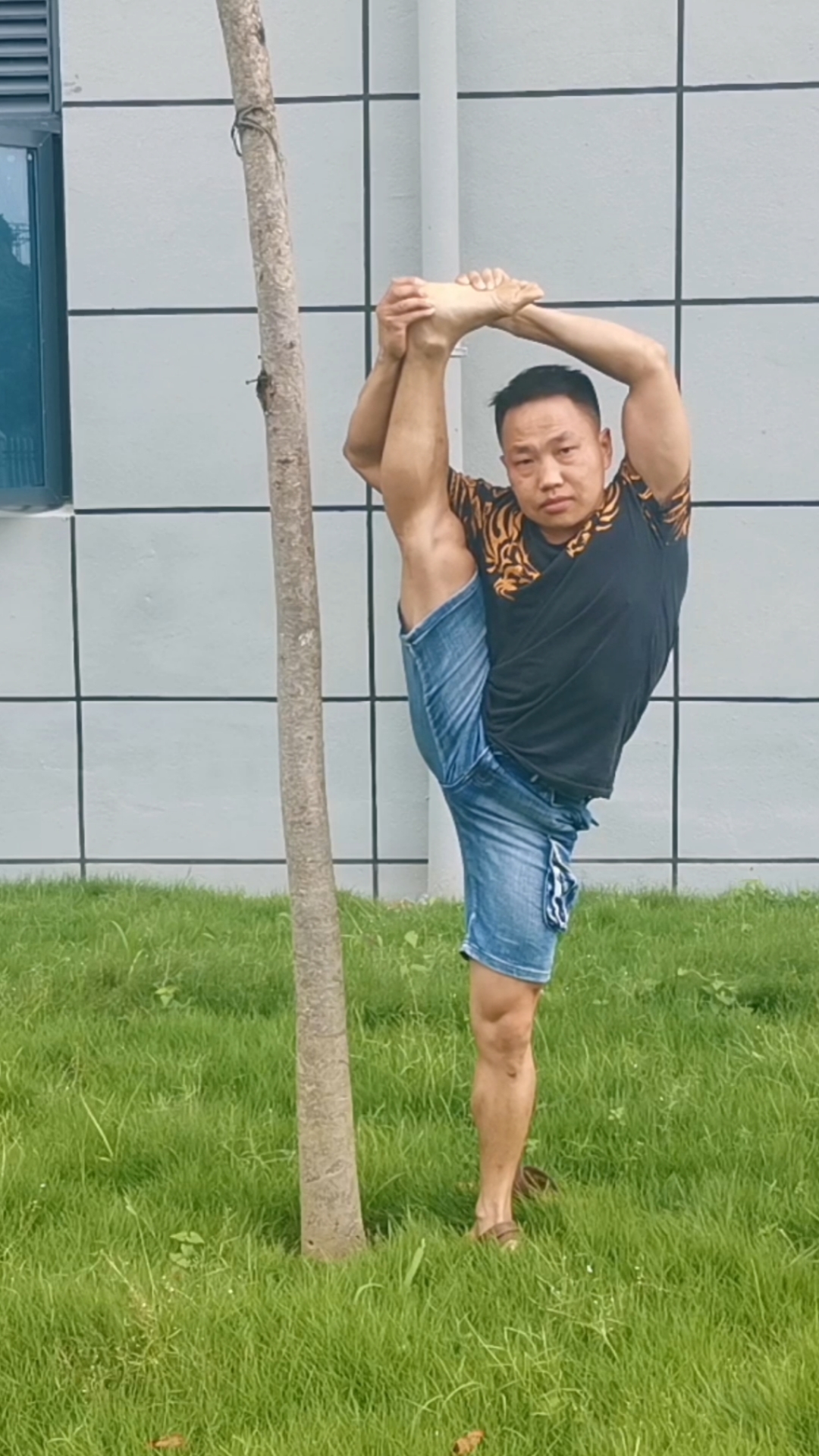 一字马#朝天蹬的第三步,靠树压腿2分钟,朝天蹬轻松完成.
