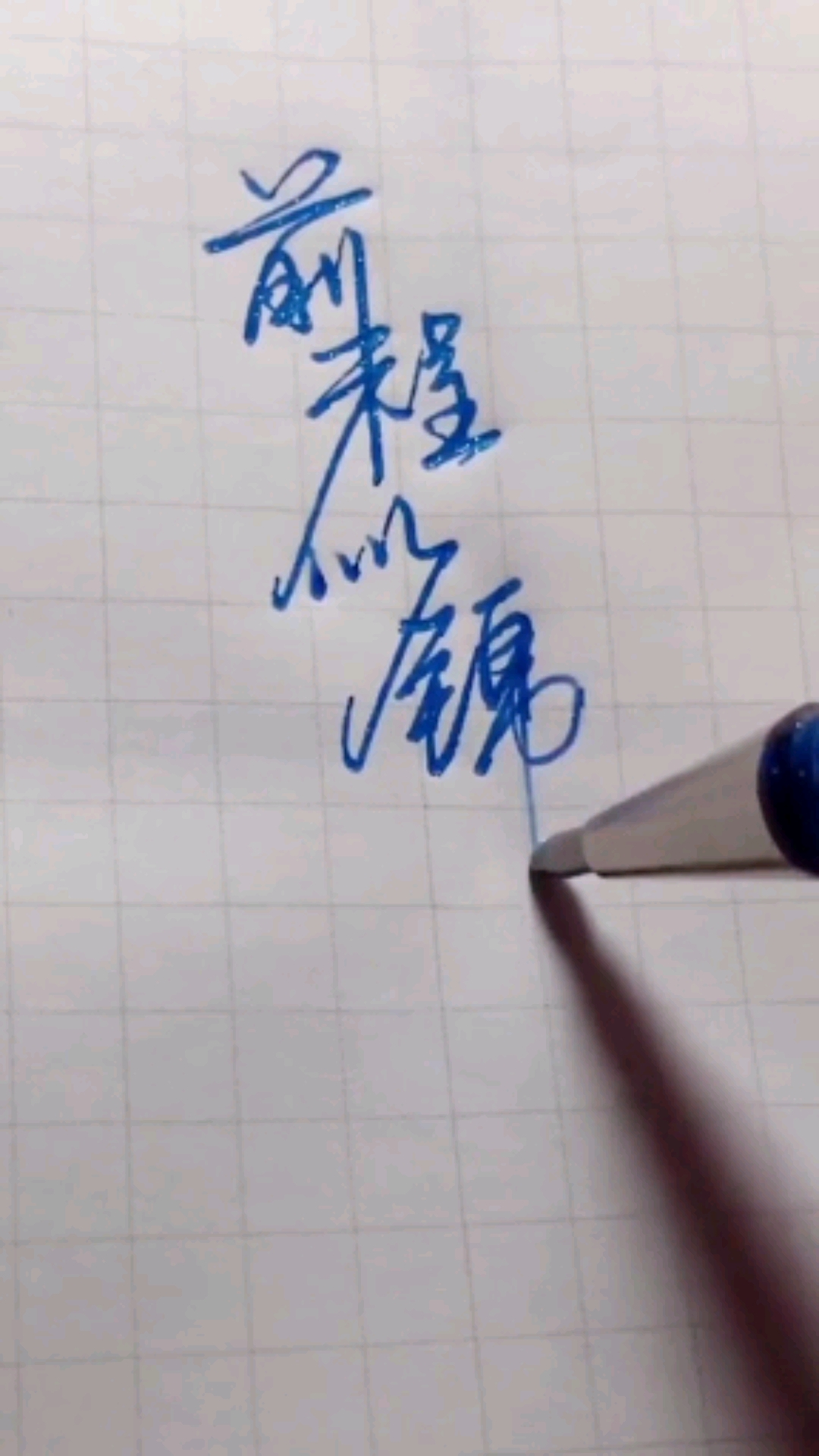 手写文字#那就祝你前程似锦吧